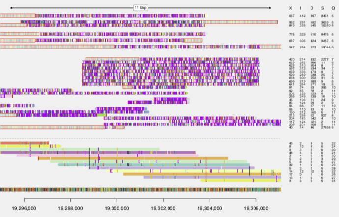 Graph-based read correction reclaims 40-90% of reads originally rejected from PacBio HiFi data without resequencing